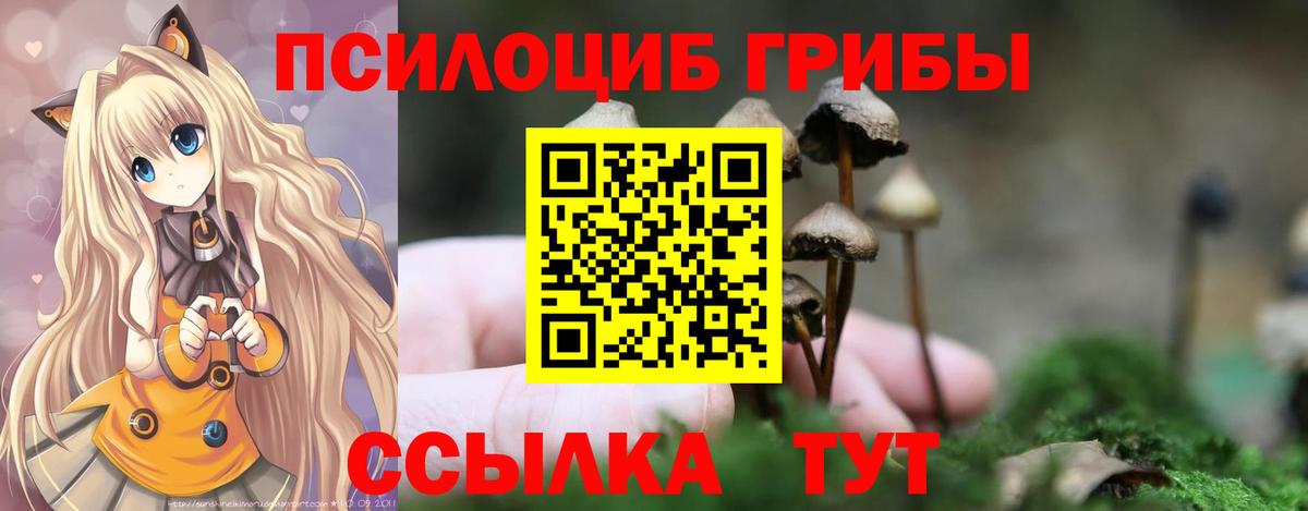 Нижнекамск  Галлюциногенные грибы MAGIC MUSHROOMS  Вход с VPN 